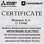 Mitsubishi Electric