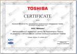 TOSHIBA (АСЦ)
