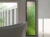 Greenor Spring